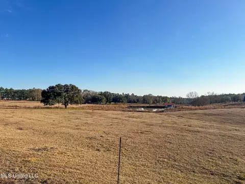 27 Ac Old Highway 63, Lucedale, MS 39452 photo 8