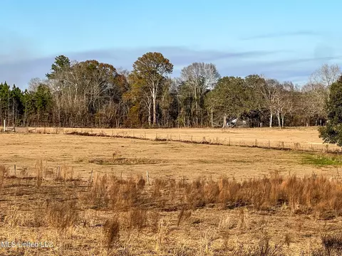 27 Ac Old Highway 63, Lucedale, MS 39452 photo 5