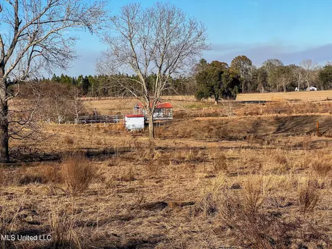 27 Ac Old Highway 63, Lucedale, MS 39452 photo 13