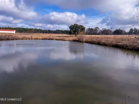 27 Ac Old Highway 63, Lucedale, MS 39452 photo 18