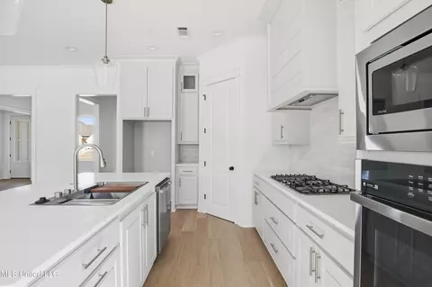 Entry Way - 105 Grayson Way #LOT 1391, Madison, MS 39110 photo 1 of 2