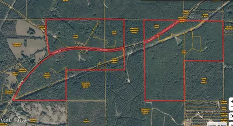1145 Ludlow Rd, Lena, MS 39094 photo 76