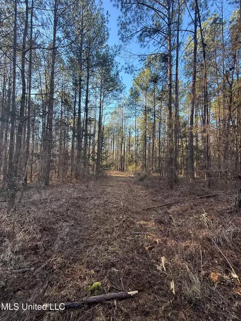 1145 Ludlow Rd, Lena, MS 39094 photo 8