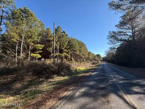 1145 Ludlow Rd, Lena, MS 39094 photo 52