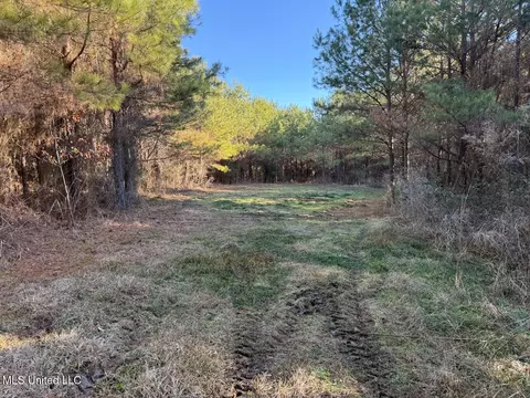 1145 Ludlow Rd, Lena, MS 39094 photo 63