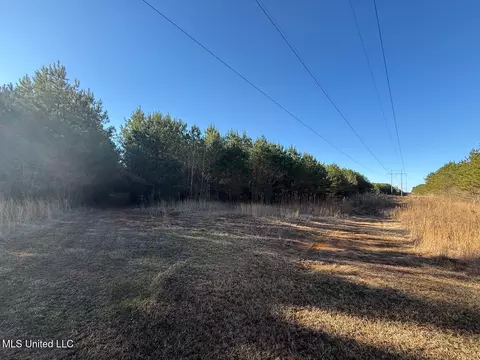 1145 Ludlow Rd, Lena, MS 39094 photo 67