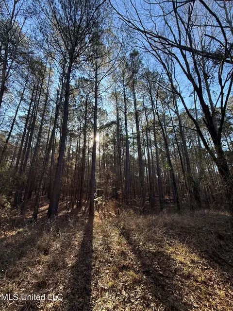1145 Ludlow Rd, Lena, MS 39094 photo 42