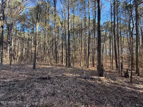 1145 Ludlow Rd, Lena, MS 39094 photo 46