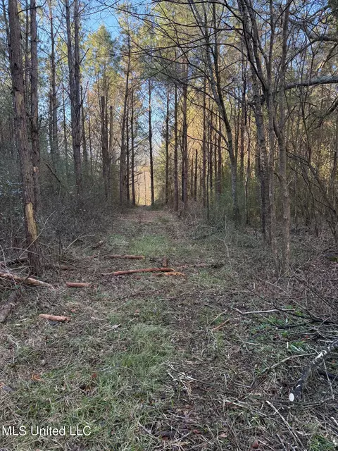 1145 Ludlow Rd, Lena, MS 39094 photo 18