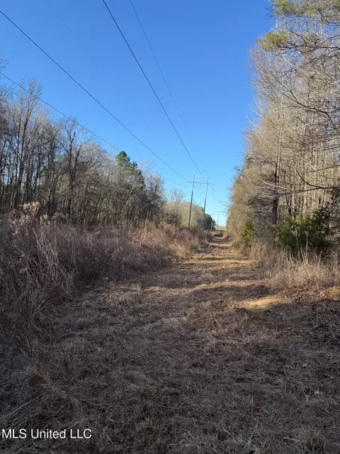 1145 Ludlow Rd, Lena, MS 39094 photo 23