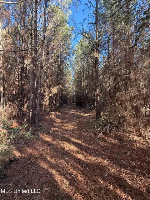 1145 Ludlow Rd, Lena, MS 39094 photo 70