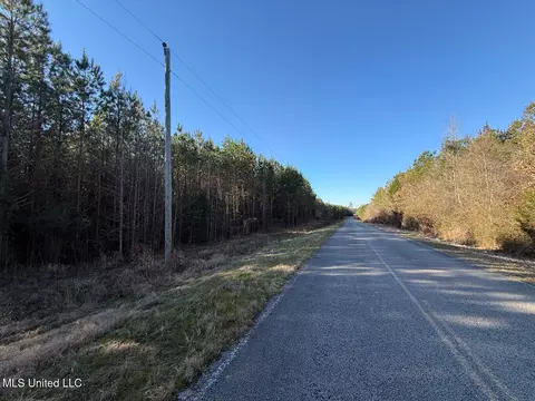 1145 Ludlow Rd, Lena, MS 39094 photo 71
