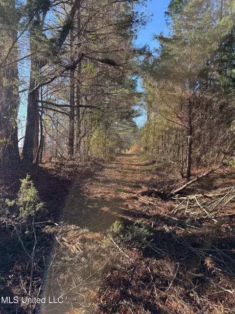 1145 Ludlow Rd, Lena, MS 39094 photo 24