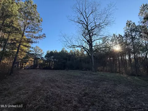 1145 Ludlow Rd, Lena, MS 39094 photo 5