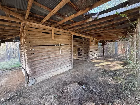 1145 Ludlow Rd, Lena, MS 39094 photo 33