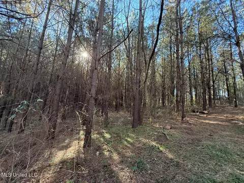 1145 Ludlow Rd, Lena, MS 39094 photo 51