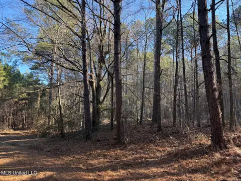 1145 Ludlow Rd, Lena, MS 39094 photo 34