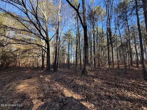 1145 Ludlow Rd, Lena, MS 39094 photo 37
