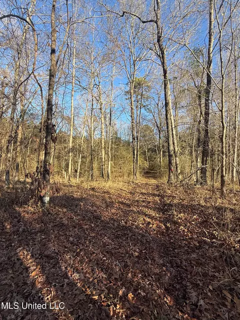 1145 Ludlow Rd, Lena, MS 39094 photo 10