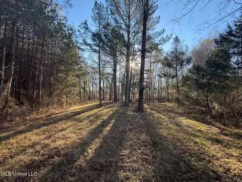 1145 Ludlow Rd, Lena, MS 39094 photo 15