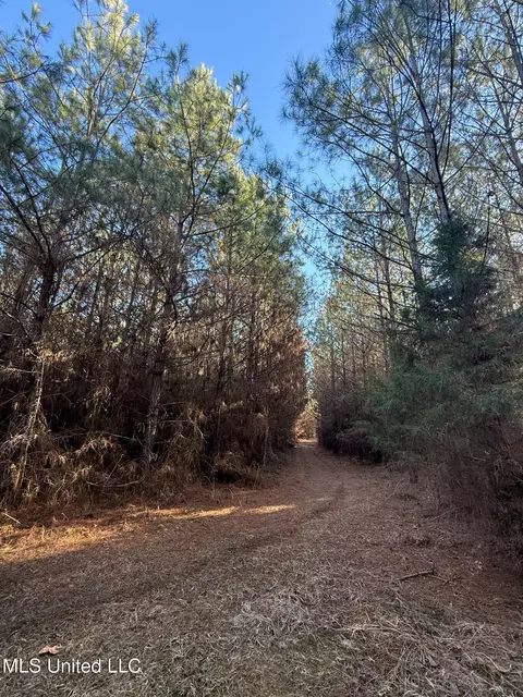 1145 Ludlow Rd, Lena, MS 39094 photo 66