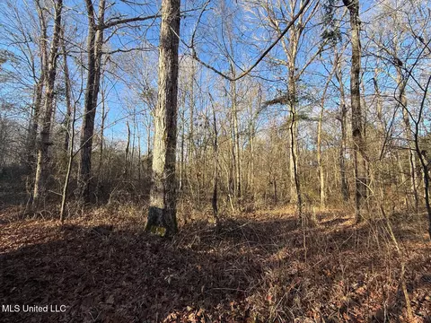 1145 Ludlow Rd, Lena, MS 39094 photo 11
