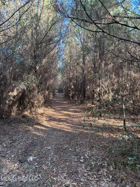 1145 Ludlow Rd, Lena, MS 39094 photo 62