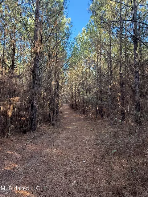1145 Ludlow Rd, Lena, MS 39094 photo 61