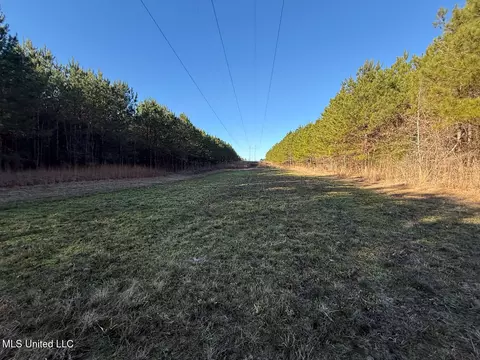 1145 Ludlow Rd, Lena, MS 39094 photo 55
