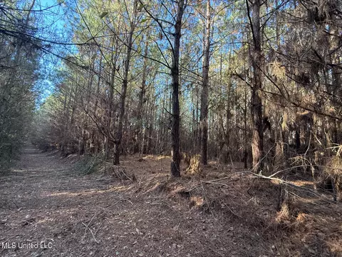 1145 Ludlow Rd, Lena, MS 39094 photo 57