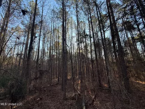1145 Ludlow Rd, Lena, MS 39094 photo 6