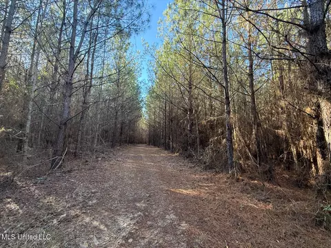 1145 Ludlow Rd, Lena, MS 39094 photo 64
