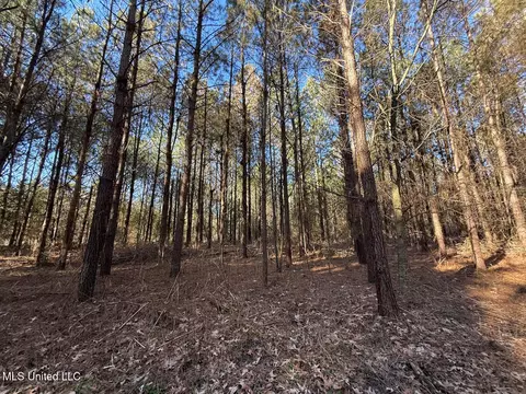 1145 Ludlow Rd, Lena, MS 39094 photo 50