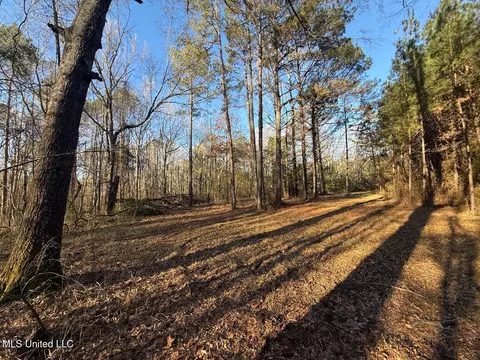 1145 Ludlow Rd, Lena, MS 39094 photo 13