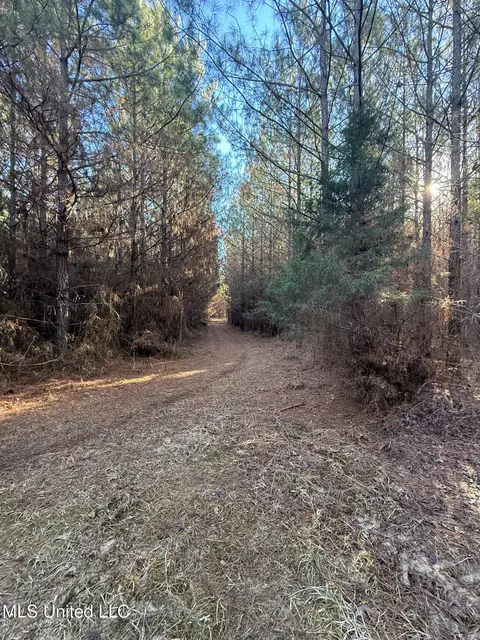 1145 Ludlow Rd, Lena, MS 39094 photo 65