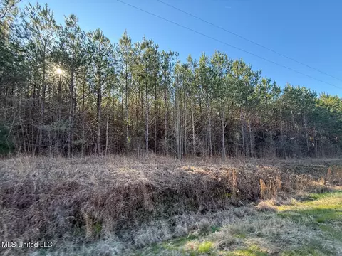 1145 Ludlow Rd, Lena, MS 39094 photo 73