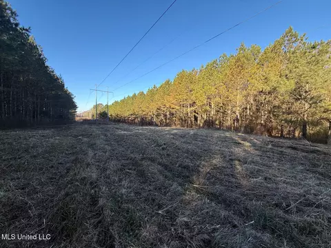 1145 Ludlow Rd, Lena, MS 39094 photo 26