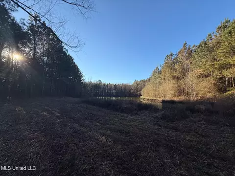 1145 Ludlow Rd, Lena, MS 39094 photo 4
