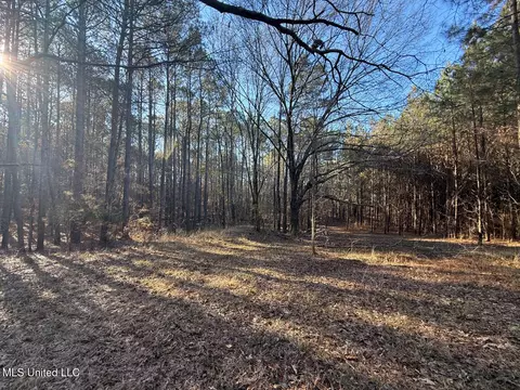 1145 Ludlow Rd, Lena, MS 39094 photo 39