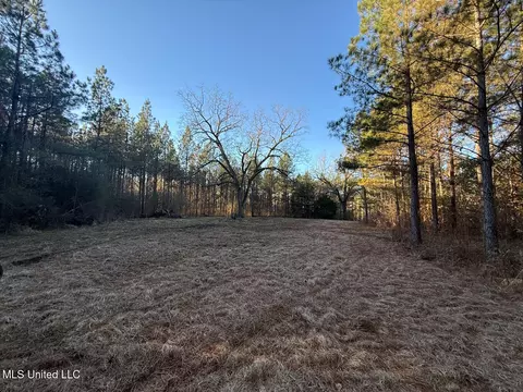 1145 Ludlow Rd, Lena, MS 39094 photo 2