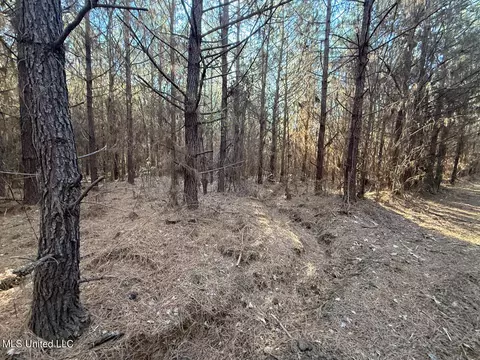 1145 Ludlow Rd, Lena, MS 39094 photo 58