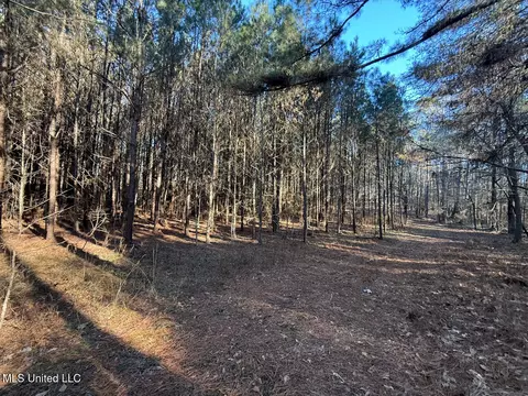 1145 Ludlow Rd, Lena, MS 39094 photo 36
