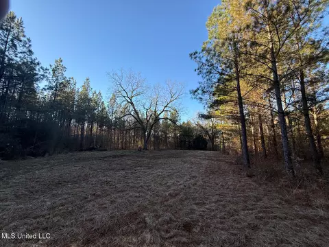 1145 Ludlow Rd, Lena, MS 39094 photo 3