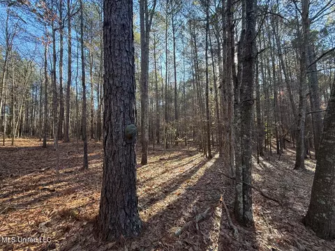 1145 Ludlow Rd, Lena, MS 39094 photo 41