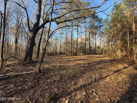 1145 Ludlow Rd, Lena, MS 39094 photo 12