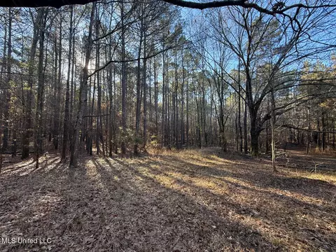 1145 Ludlow Rd, Lena, MS 39094 photo 38
