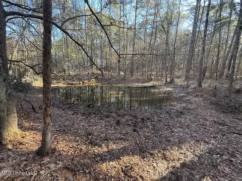 1145 Ludlow Rd, Lena, MS 39094 photo 43