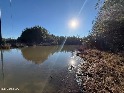 1145 Ludlow Rd, Lena, MS 39094 photo 54
