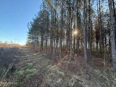1145 Ludlow Rd, Lena, MS 39094 photo 25