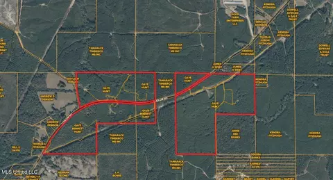 1145 Ludlow Rd, Lena, MS 39094 photo 74